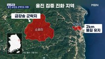 울진 금강송 군락지도 위험…산림 당국 