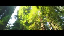 Jatr -  Forest (Feat Jazmin Escobar)(VideoClip Oficial)