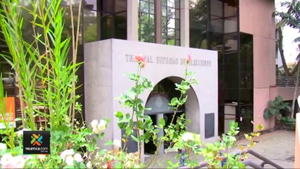 tn7-TSE-confirma-que-investiga-información-enviada-por-Secretaria -del-PPSD-060322