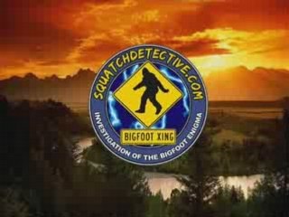 Bowhunting TV Trail Cam Video