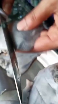 Fish Recipe | Best Fish Recipe | How To Make Fish Recipe | Fish | Rk food shorts