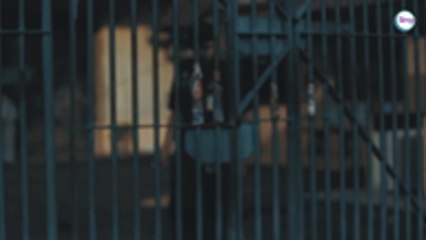 Sepahtu Sinar - Raya Di Sebalik Tirai Besi