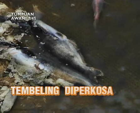AWANI 7:45 malam ini: Tiga ribu penduduk tinggal sehelai sepinggang, Sungai Tembeling diperkosa pembalakan haram