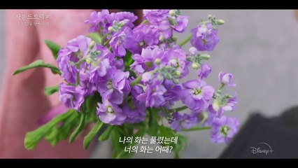 [사운드트랙 #1] 메인 예고편│2주만 같이 있을래? 친구와 연인 사이, 아슬아슬한 밀당 로맨스│디즈니+