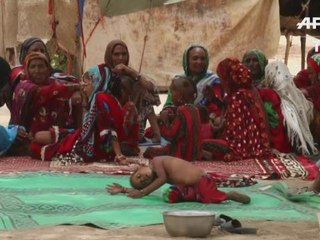 Nomadic people vote in Chadian elections