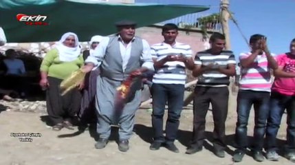 Yeniköy, ÇüngüşDiyarbakır Halay-1