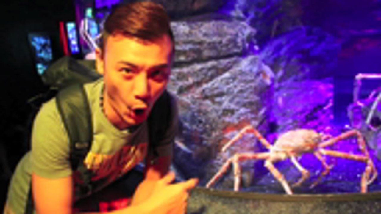 MY FM泰好玩特辑预告 (杜莎夫人蜡像馆/Siam Ocean World/Muay Thai课/Grand Hyatt Erawan Hotel)