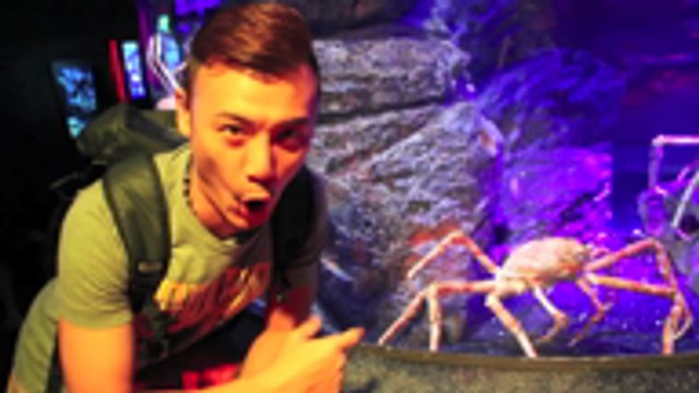 MY FM泰好玩特辑预告 (杜莎夫人蜡像馆/Siam Ocean World/Muay Thai课/Grand Hyatt Erawan Hotel)