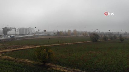 Erzincan'da kar yerini soğuk havaya bıraktı