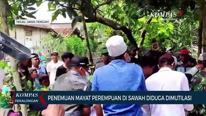 Penemuan Mayat di Sawah Diduga Dimutilasi