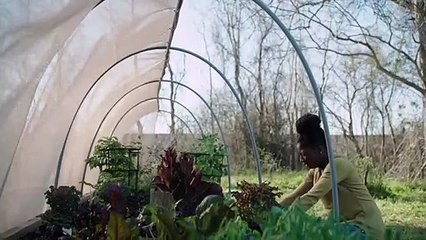 Queen Sugar 1ª Temporada Trailer (2) Original
