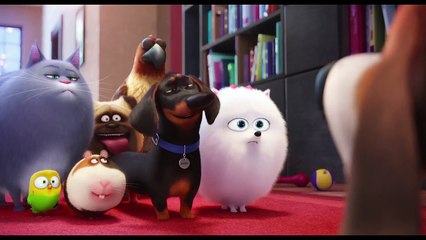 Pets - A Vida Secreta dos Bichos Making of (4) Dublado - Luis Miranda dubla Bola de Neve