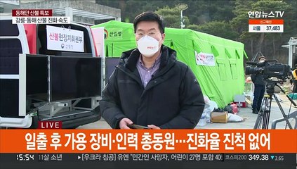 울진 금강송 군락지 위협…강릉·동해 산불 진화율 다시 90%