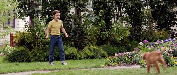 Quatro Vidas de um Cachorro Trailer Original