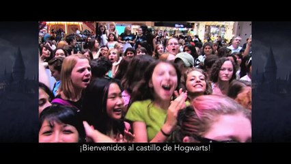 'Harry Potter: The Exibition' Spot