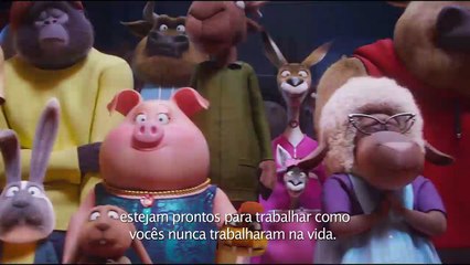 Download Video: Sing - Quem Canta Seus Males Espanta Trailer (3) Legendado