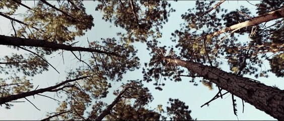 Primeiro Janeiro Trailer Original