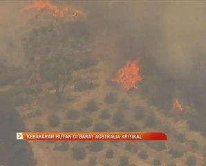 Kebakaran hutan di Barat Australia kritikal