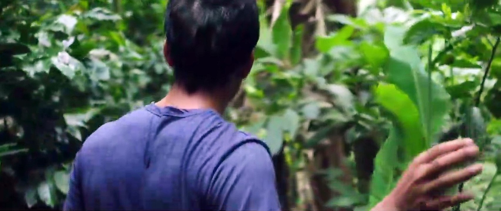 O Sonhador Trailer Original