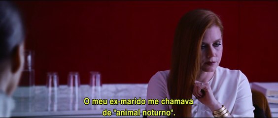 Animais Noturnos Clipe Legendado