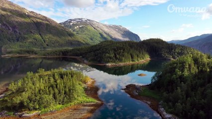 Calming Meditation Music to Relax the Mind and Body