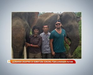 Leonardo DiCaprio di Sumatera sokong pemuliharaan hutan
