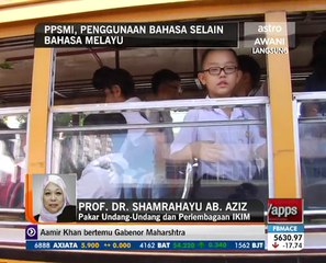 PPSMI, penggunaan bahasa selain Bahasa Melayu