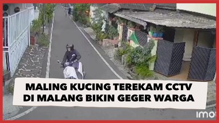 Viral Aksi Pria Maling Kucing Terekam CCTV di Malang Bikin Geger Warga