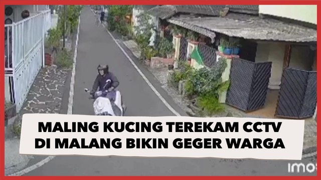 Viral Aksi Pria Maling Kucing Terekam CCTV di Malang Bikin Geger Warga