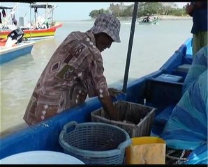 El Nino jejas hasil nelayan pantai di Pulau Pinang