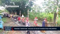 Tradisi Wiwitan, Wujud Syukur Panen Padi Melimpah