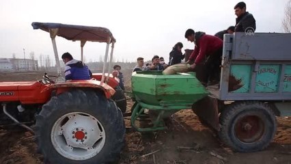 "Ziraat Okulu" öğrencileri çiftçiliği uygulamalı öğreniyor
