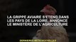Le ministère de l'Agriculture annonce que la grippe aviaire se propage dans la région de la Loire