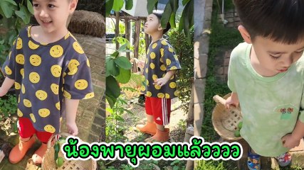 สายฟ้า - พายุ เดินถือตะกร้าช่วยคุณยายเก็บมะม่วง ชาวเน็ตแห่เมนต์ น้องพายุผอมแล้ว