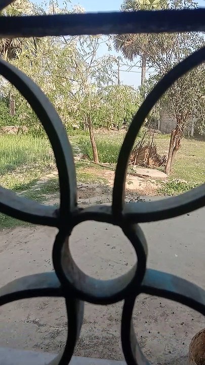 Pawan manjhi vlog
