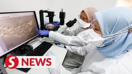 RM3.4mil allocation made to develop two Covid-19 vaccines, says Science Ministry