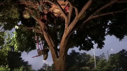 Carlos, el tarzán venezolano que vive en un árbol de Colombia