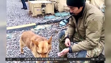 정부 경고에도…우크라로 간 ‘가짜 사나이’