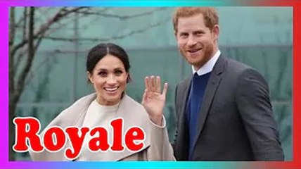 Harry et Meghan ont conseillé d'abandonner les cascades pour attirer l'attention pour soutenir Queen