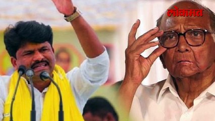 पावसात भिजून सुद्धा..', पडळकरांनी सगळंच काढलं...