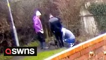 UK dognappers pretend to stroke a woman’s dog before stealing it