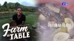 Farm To Table: Chef JR Royol’s Paksiw na Tilapia recipe