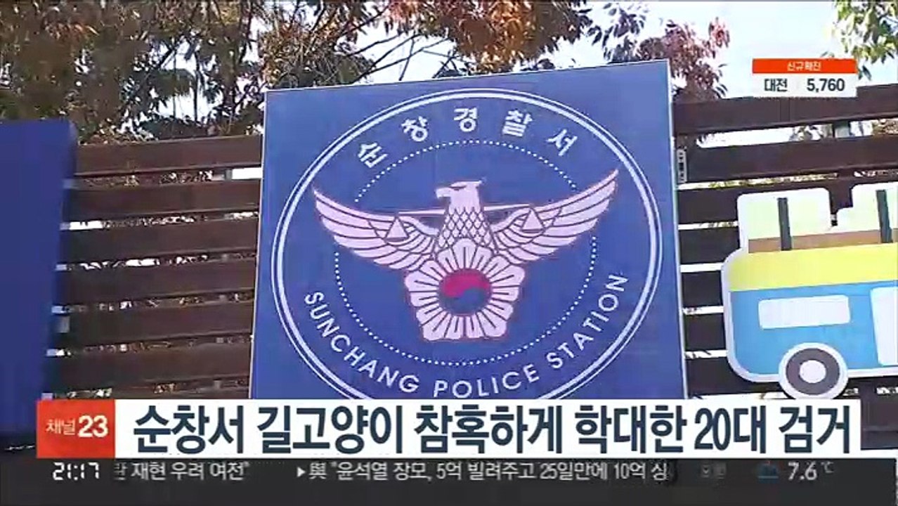 순창서 길고양이 참혹하게 학대한 20대 검거