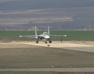 Analyst: Assad was saved by Russian intervention in Syria