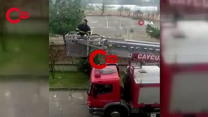 Okulun çatısında mahsur kalan güvercini itfaiye ekipleri kurtardı