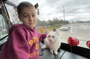Son dakika haberleri | Rusya'nın savaş açtığı Ukrayna'dan 16 yaşındaki kedileri 