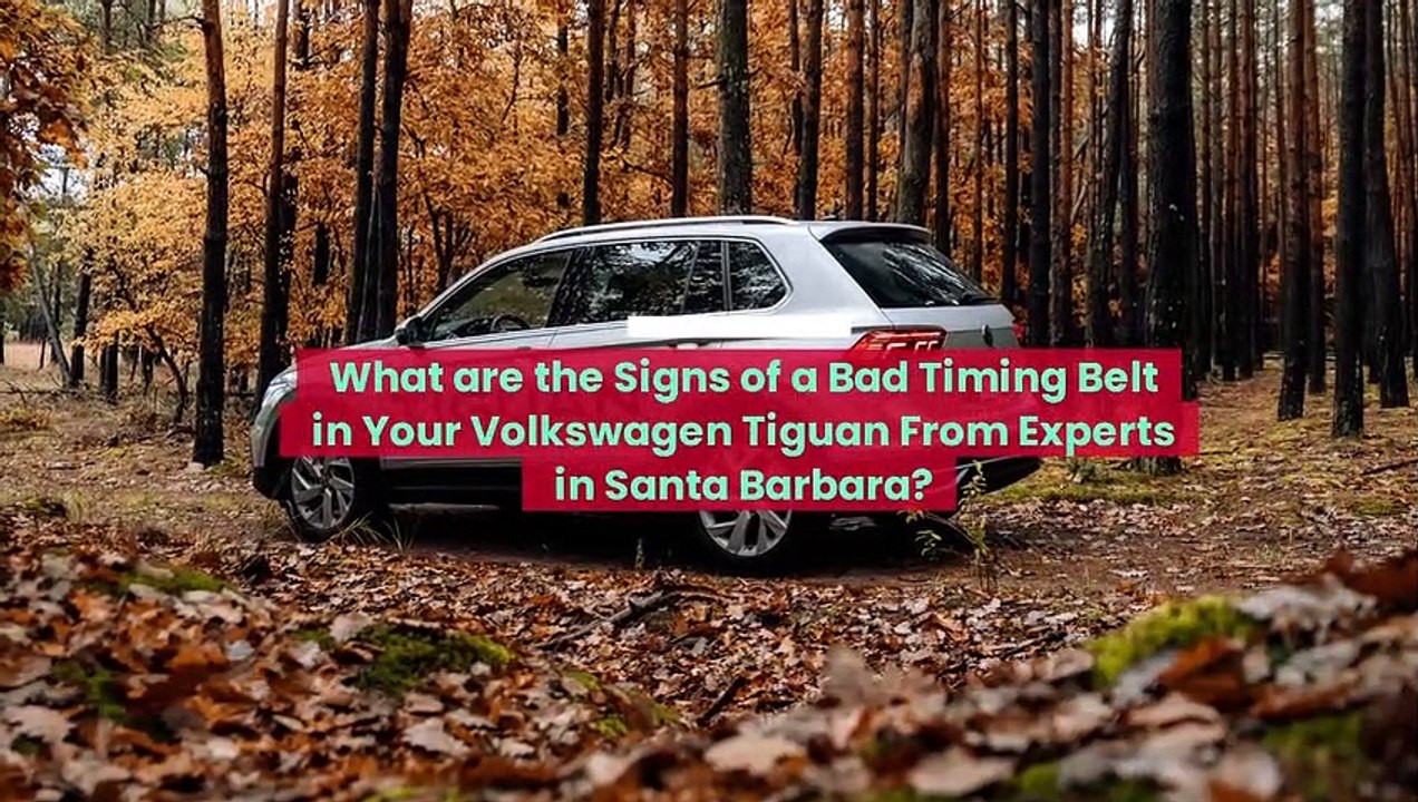 What Are The Signs Of A Bad Timing Belt In Your Volkswagen Tiguan From Experts in Santa Barbara?