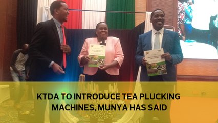 KTDA to introduce tea plucking machines, Munya has said