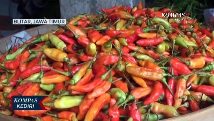 Pasokan Berkurang, Harga Cabai Tembus 60 Ribu Per Kilogram