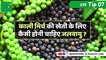 किसानों को सिंघाड़ा की खेती करने पर सरकार से मिलेगी सब्सिडी | Horticulture and Food Processing  राज्य मंत्री ने दी जानकारी In Kisan Bulletin On Green TV